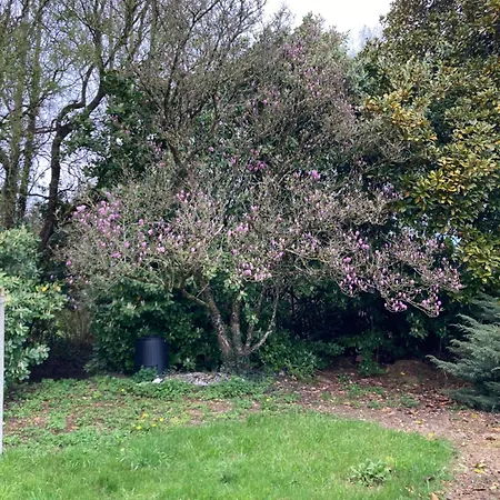 La Maison De Leon Appartement Celles-sur-Belle