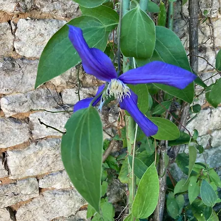 La Maison De Leon 아파트