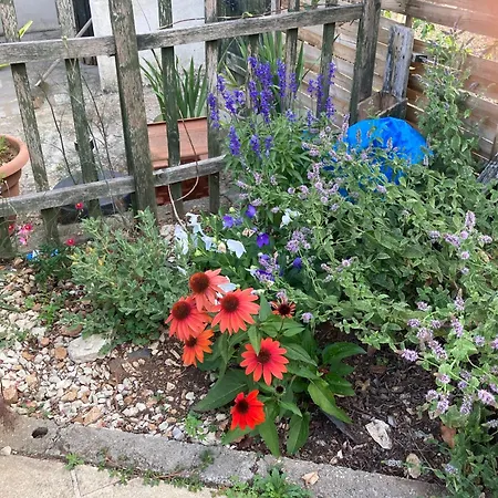 아파트 La Maison De Leon *