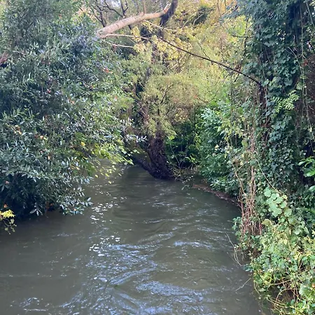 La Maison De Leon Appartement