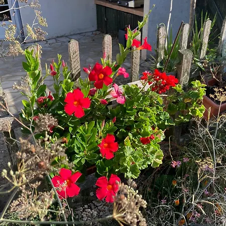 Appartement La Maison De Leon