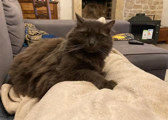 La Maison De Léon Celles-sur-Belle