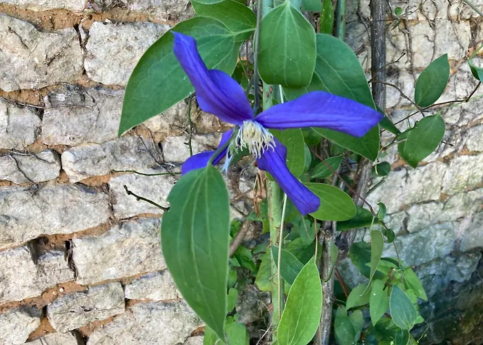 La Maison De Léon Apartamento