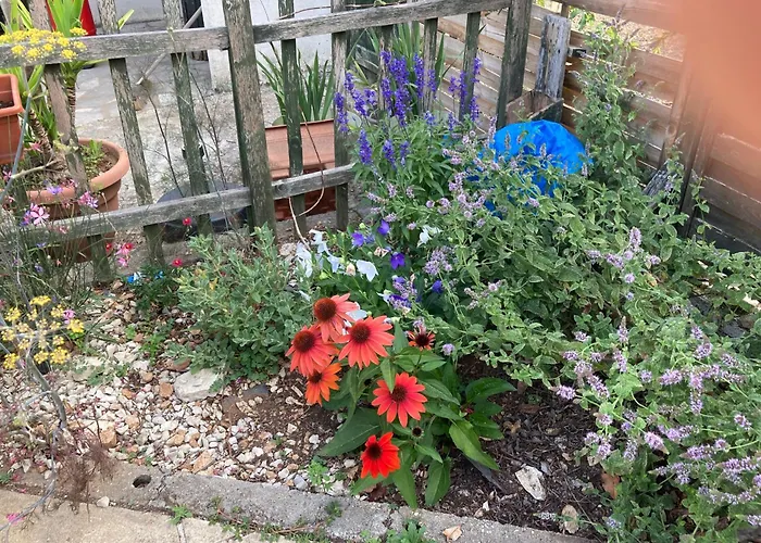 Apartamento La Maison De Léon *