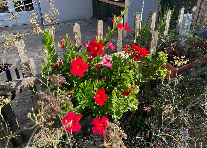 Apartamento La Maison De Léon